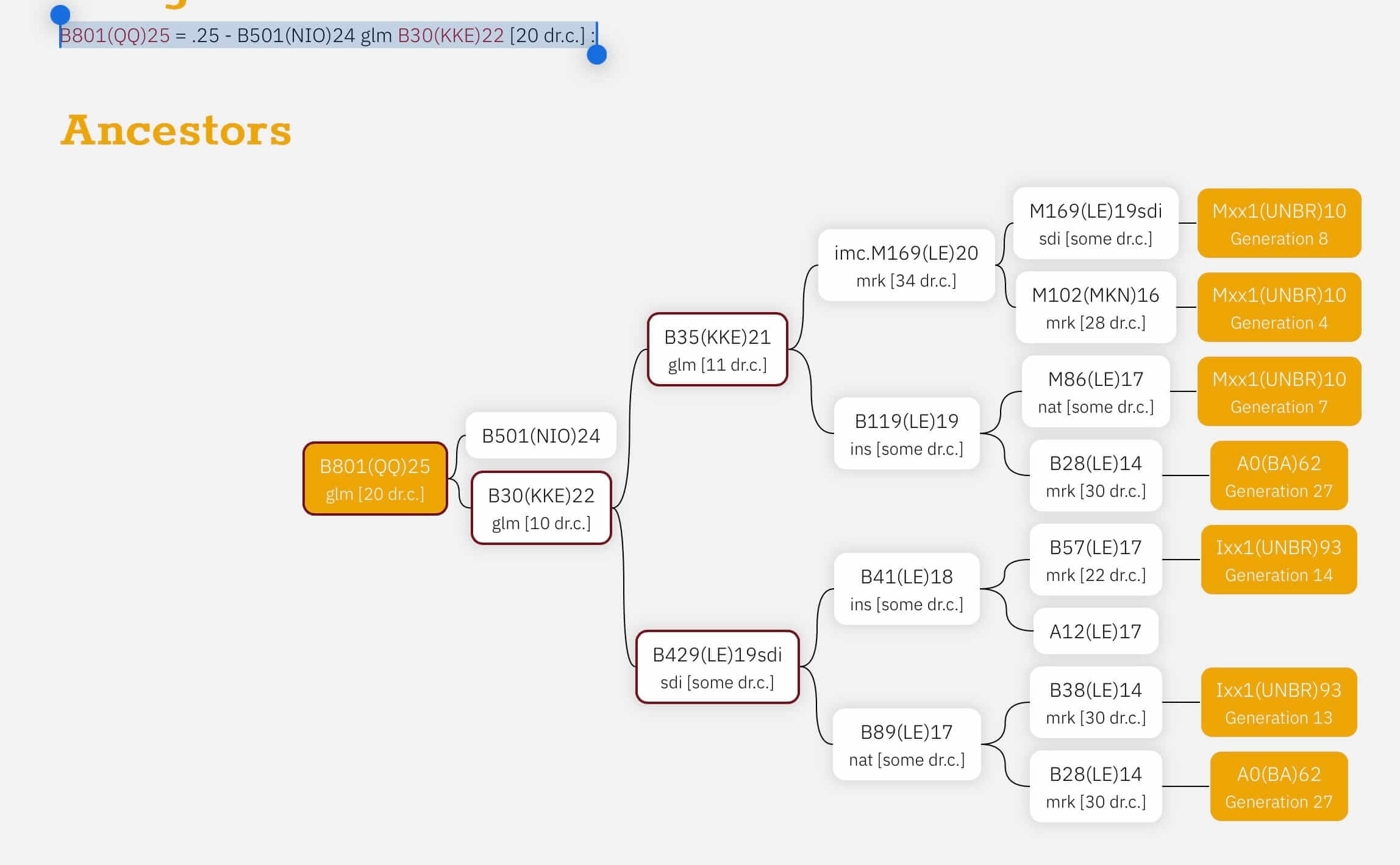 Buckfast koningin F1 B801(QQ)2025-voorinschrijving 10% korting 2 Buckfast koningin F1 B801(QQ)2025-voorinschrijving 10% korting - Afbeelding 2