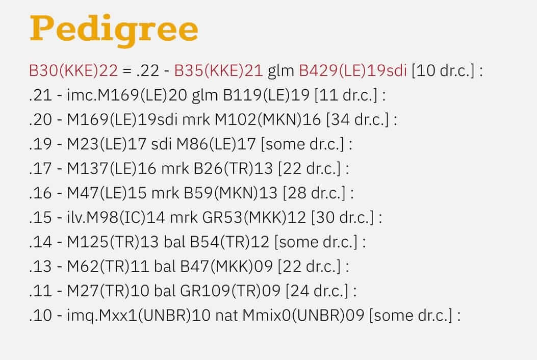 Wat betekent P0, F1, F2 in de bijenteelt?-Genetica & selectie bij honingbijen