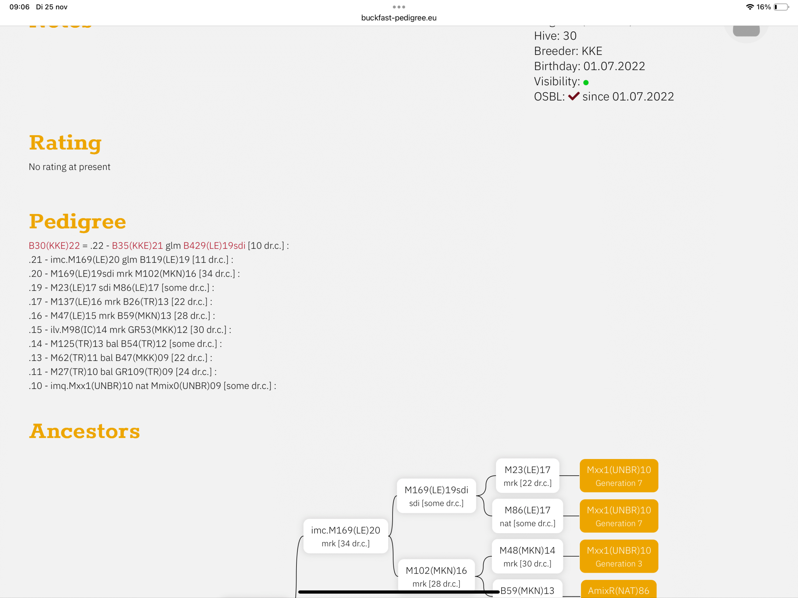 Buckfast koningin F1 B801(QQ)2025-voorinschrijving 10% korting 5 Buckfast koningin F1 B801(QQ)2025-voorinschrijving 10% korting - Afbeelding 5